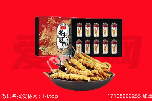 海口市秀英回收虫草.jpg